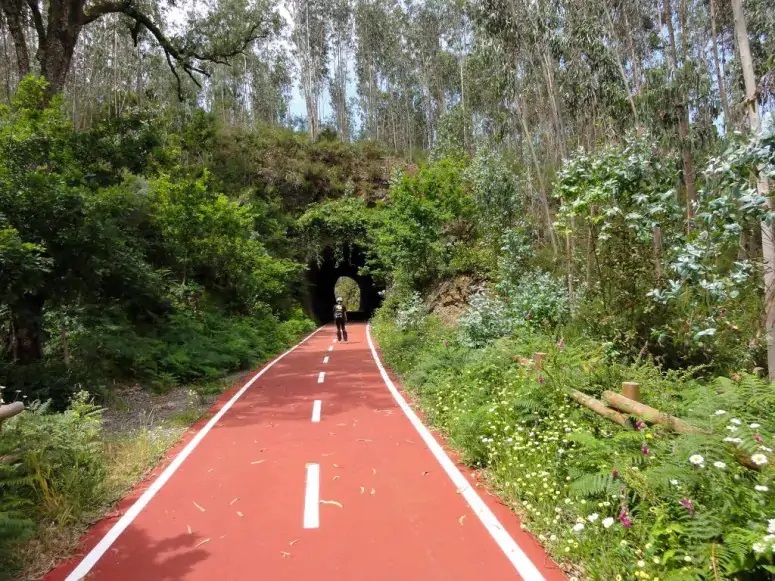  Ecopista do Vouga: Queda de muro condiciona circulação em Viseu - Jornal do Centro