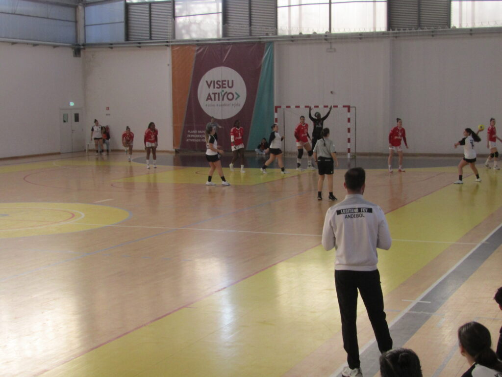  Jogo de andebol entre Lusitano FCV e SL Benfica leva centenas de adeptos ao Fontelo - Jornal do Centro