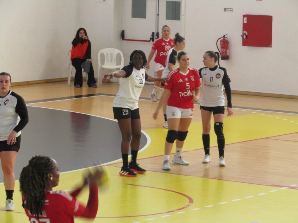  Jogo de andebol entre Lusitano FCV e SL Benfica leva centenas de adeptos ao Fontelo - Jornal do Centro