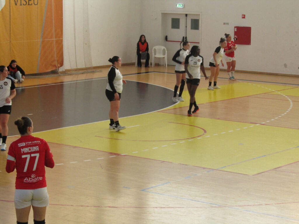  Jogo de andebol entre Lusitano FCV e SL Benfica leva centenas de adeptos ao Fontelo - Jornal do Centro