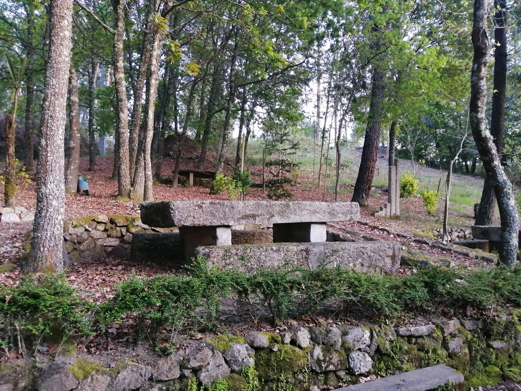  Quer caminhar? Cinco percursos pedestres para descobrir a natureza de Viseu - Jornal do Centro