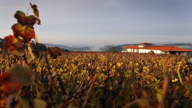 Quinta de Lemos_1