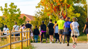 desporto viseu