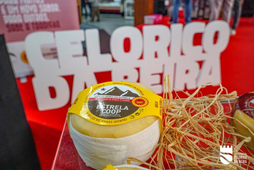  Há queijo para provar este fim de semana em Celorico da Beira e Tábua - Jornal do Centro