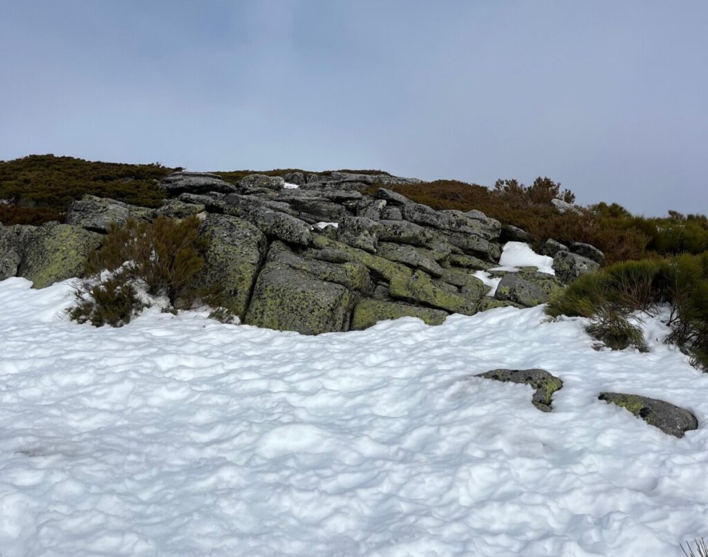  Neve cai na Serra da Estrela esta sexta-feira e sábado - Jornal do Centro