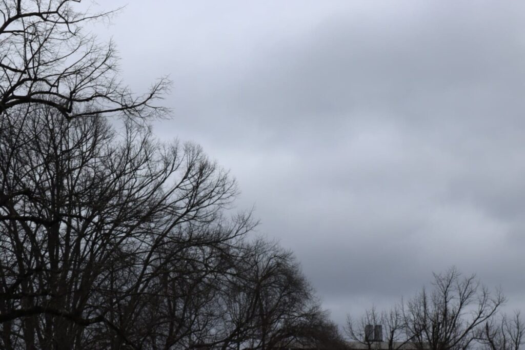  Viseu com dia de nuvens e chuva fraca esta terça-feira