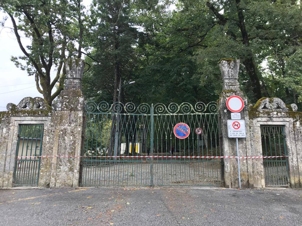  Depressão Martinho: Parques de Viseu continuam encerrados para limpeza e garantir segurança - Jornal do Centro