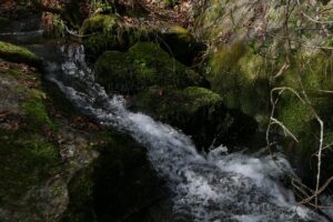  Viseu: Passeio em Várzea de Calde desafia a ouvir a água - Jornal do Centro