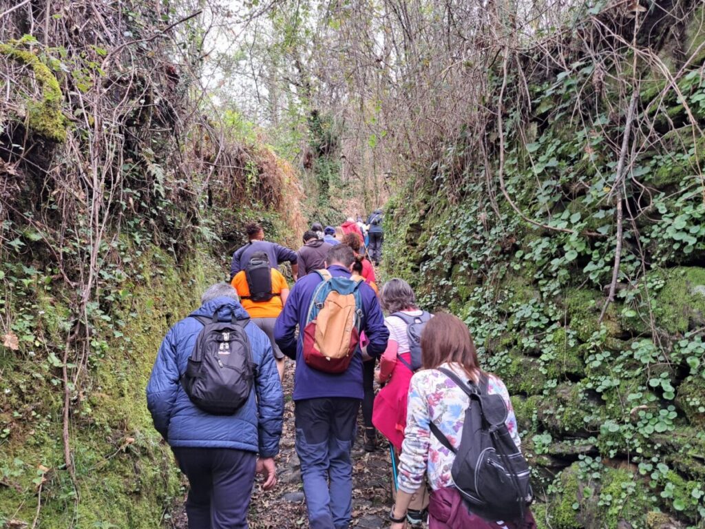  Autarquia de São Pedro do Sul convida a passeios pedestres a partir deste mês - Jornal do Centro