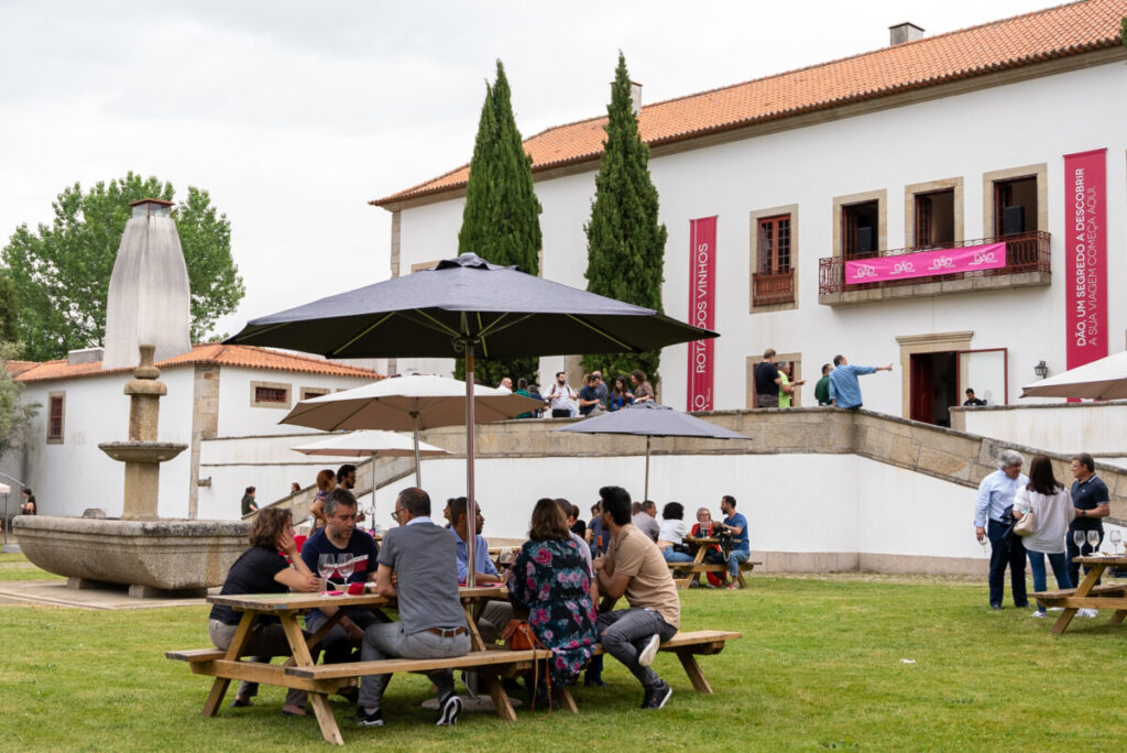  “Dão Primores” regressa em maio para mostrar os vinhos da região - Jornal do Centro