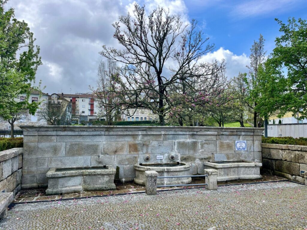  Rossio da Ribeira: Junto ao Pavia, com um chafariz de “emselentes agoas” e local de Feira Franca - Jornal do Centro