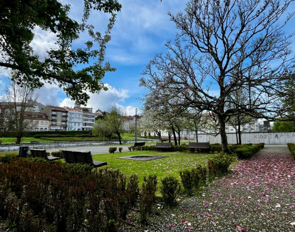  Rossio da Ribeira: Junto ao Pavia, com um chafariz de “emselentes agoas” e local de Feira Franca - Jornal do Centro