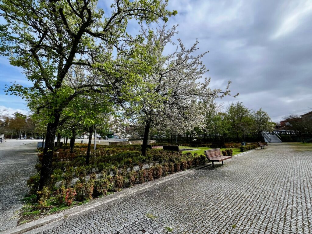  Rossio da Ribeira: Junto ao Pavia, com um chafariz de “emselentes agoas” e local de Feira Franca - Jornal do Centro
