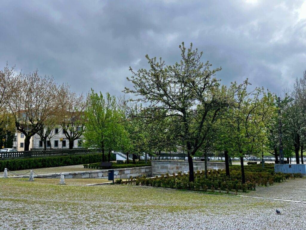  Rossio da Ribeira: Junto ao Pavia, com um chafariz de “emselentes agoas” e local de Feira Franca - Jornal do Centro