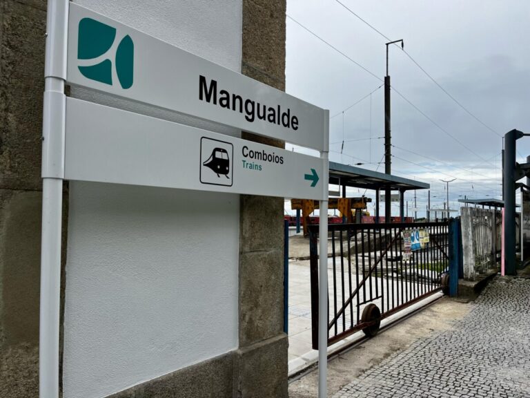 Linha da Beira Alta comboio Mangualde passageiros 8
