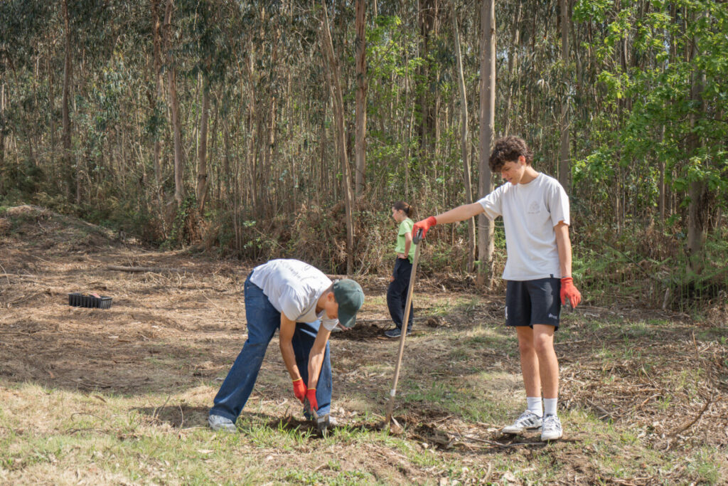  Alunos de Tondela plantam árvores junto a zona industrial - Jornal do Centro