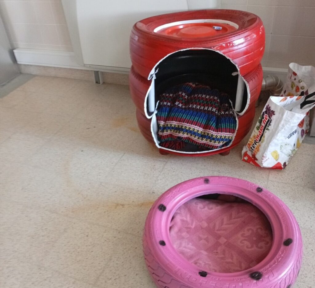  Alunos de Mortágua criam camas e brinquedos para os animais do canil municipal - Jornal do Centro