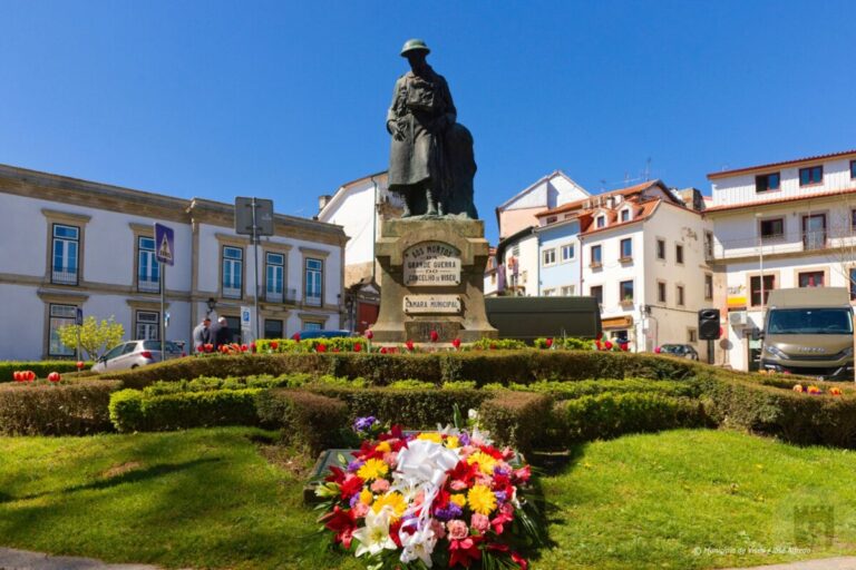 dia combatente viseu