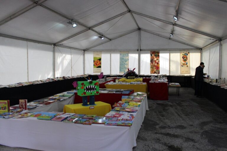 feira do livro vouzela