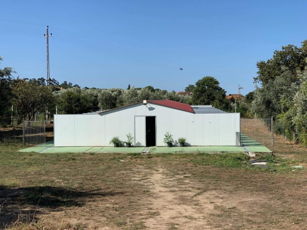  Campanha recolhe donativos para ajudar animais e reconstruir hotel canino em Mangualde - Jornal do Centro