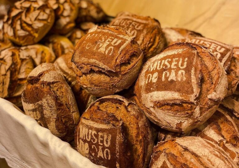 museu do pão seia