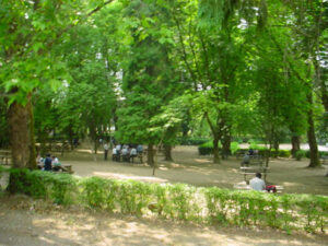 parque merendas fontelo