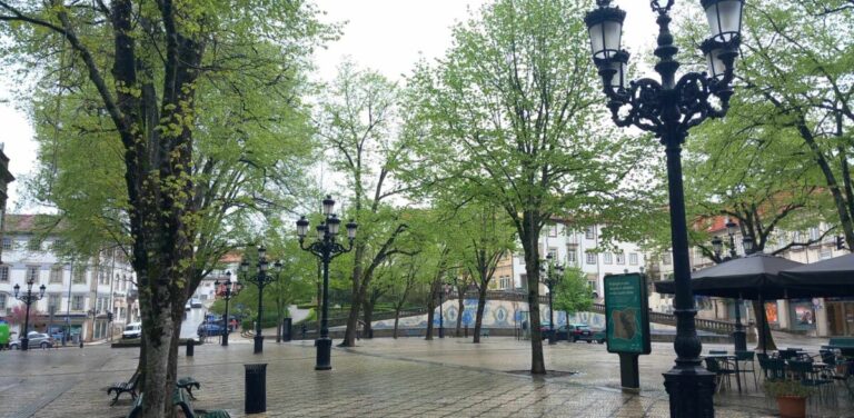 rossio viseu chuva