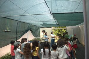 Imagem EDUCARTE 1