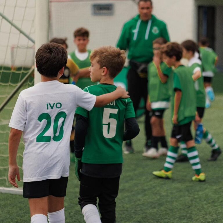 academia sporting viseu