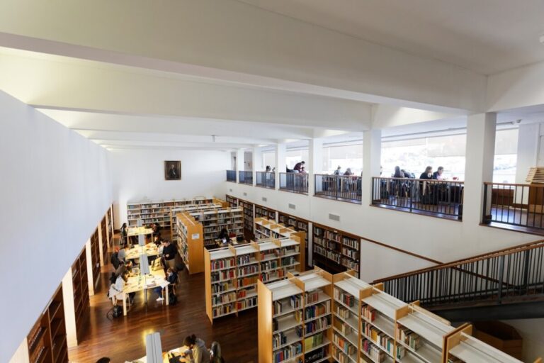biblioteca de viseu _ municipio