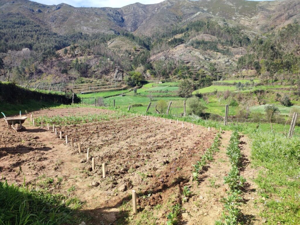  Mercado de São Pedro do Sul e aldeia de Covas do Monte recebem Rotas para a Sustentabilidade - Jornal do Centro