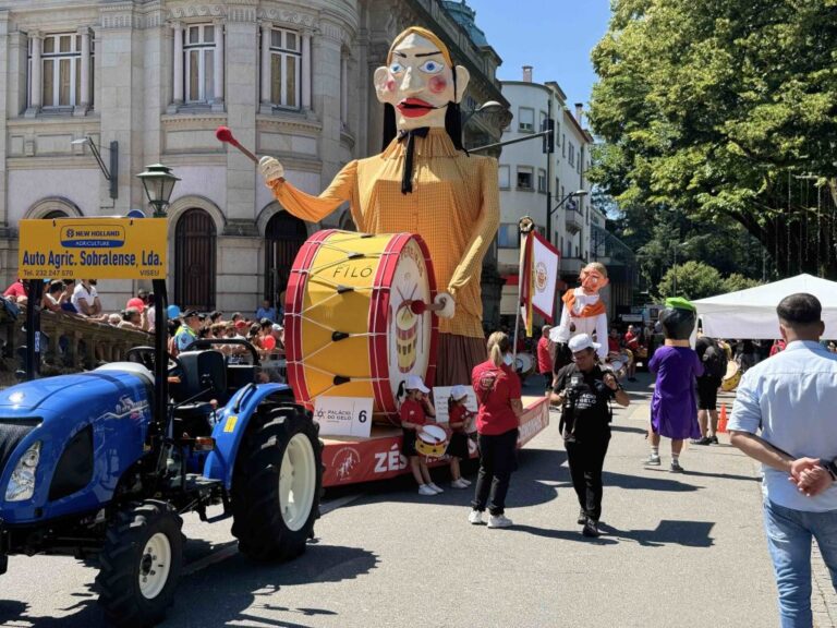 cavalhadas de vildemoinhos