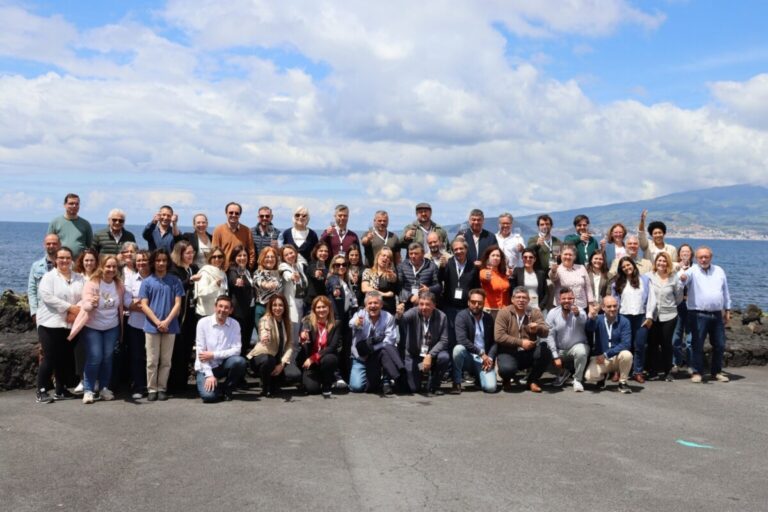 concurso vinho açores