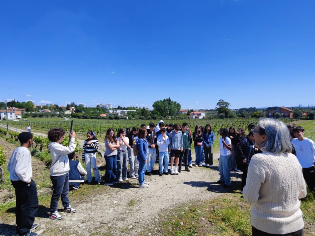 Mais de dois mil jovens de Viseu Dão Lafões “descobrem e aprendem” sobre a região - Jornal do Centro