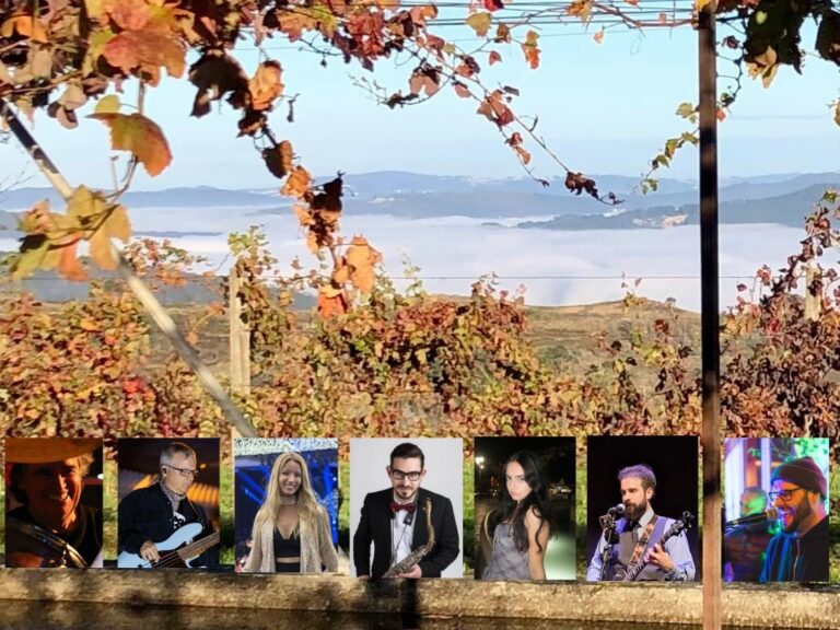 douro vintage 2