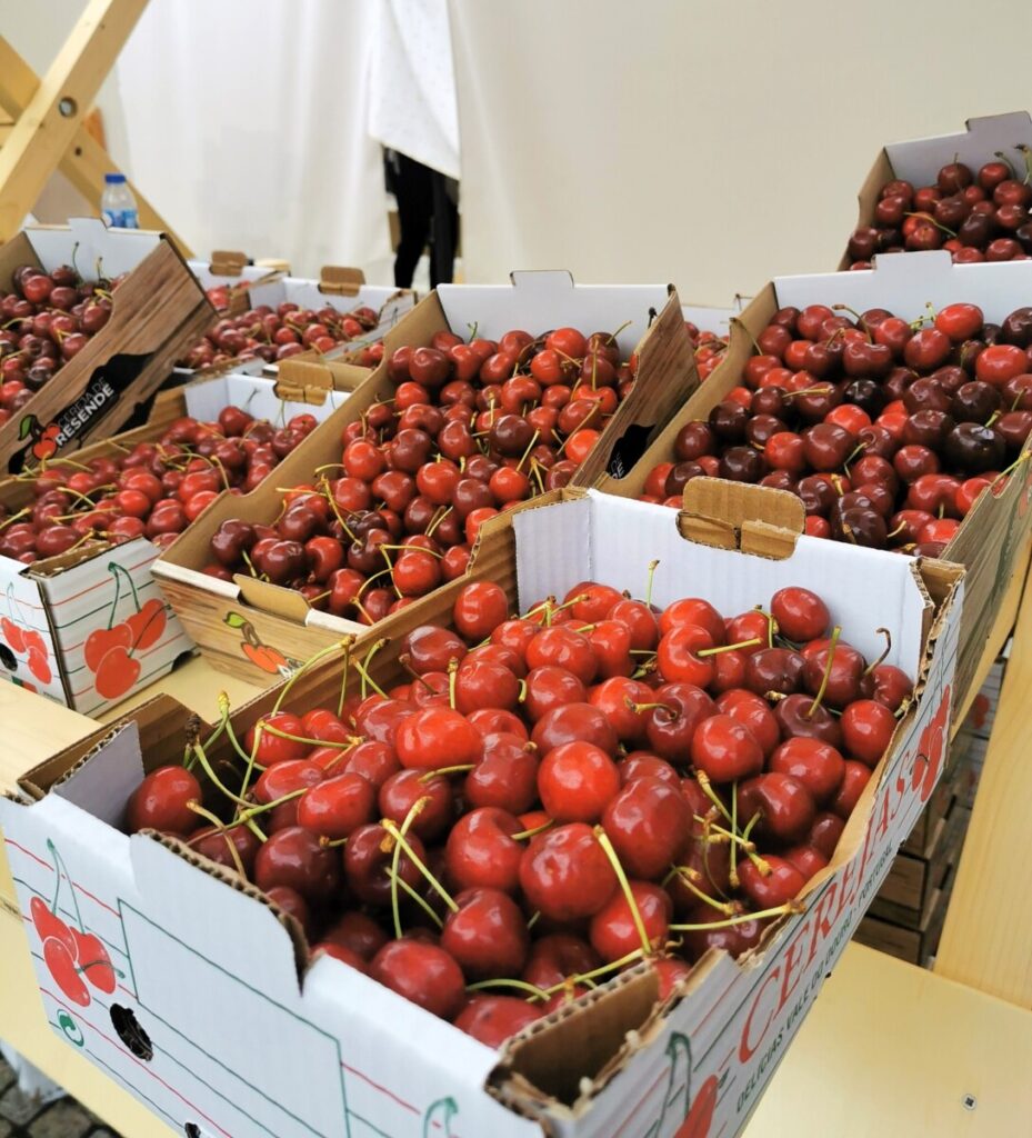  Quer cerejas? Resende recebe Festival este fim de semana - Jornal do Centro