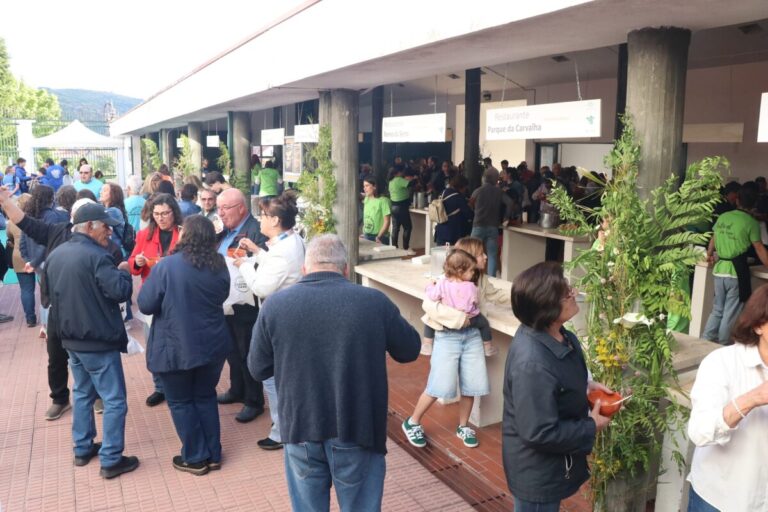 festival de sopas solidário castro daire