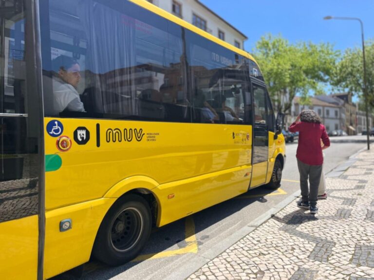muv viseu autocarro