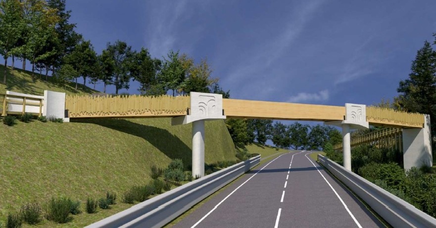  Estrada das Termas de São Pedro do Sul com ponte pedonal - Jornal do Centro