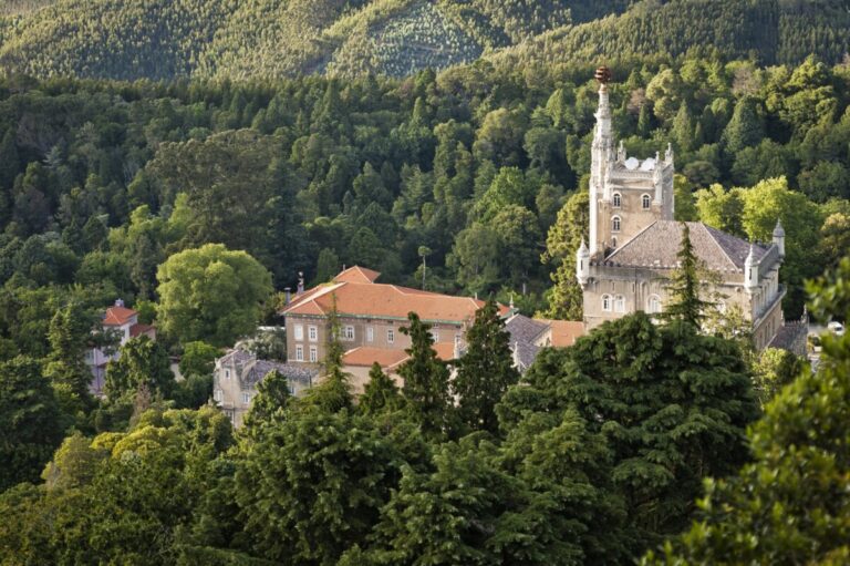 serra mata e hotel do bussaco