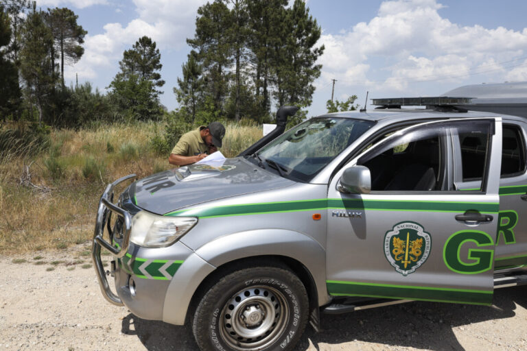 REPORTAGEM Falta de meios e de mão-de-obra dificulta limpeza na proteção da floresta em Vila Nova de Paiva