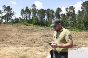 REPORTAGEM Falta de meios e de mão-de-obra dificulta limpeza na proteção da floresta em Vila Nova de Paiva