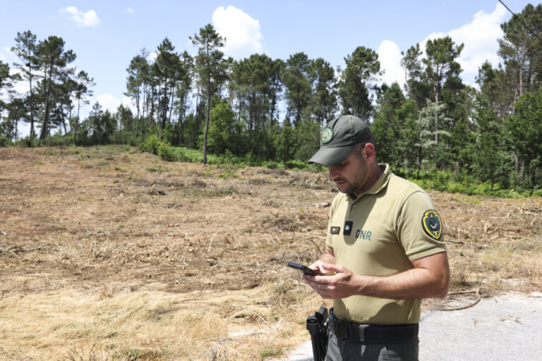 REPORTAGEM Falta de meios e de mão-de-obra dificulta limpeza na proteção da floresta em Vila Nova de Paiva