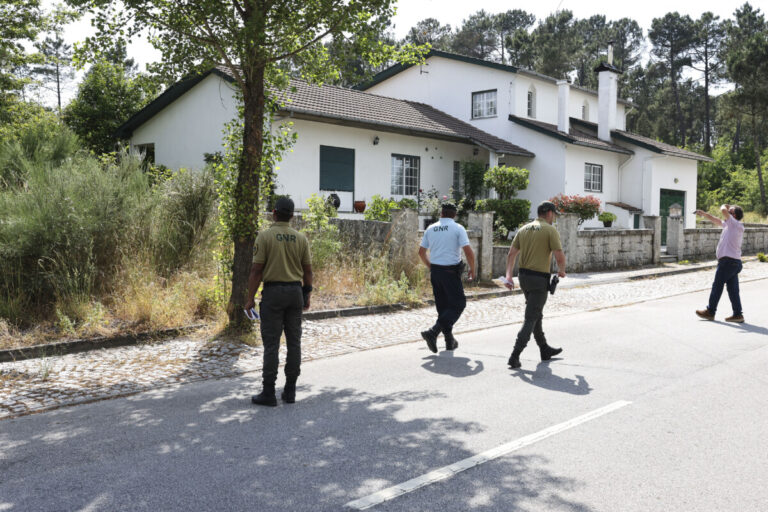 REPORTAGEM Falta de meios e de mão-de-obra dificulta limpeza na proteção da floresta em Vila Nova de Paiva