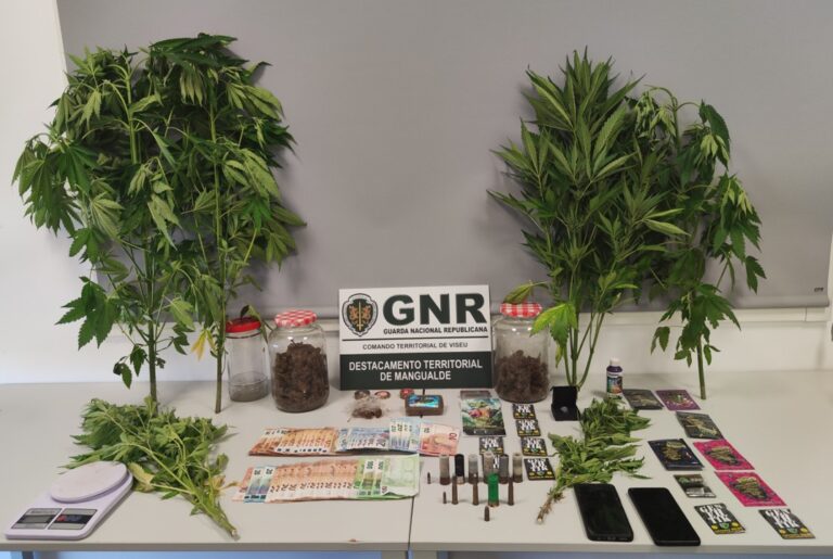 GNR Viseu Detido por tráfico de estupefacientes