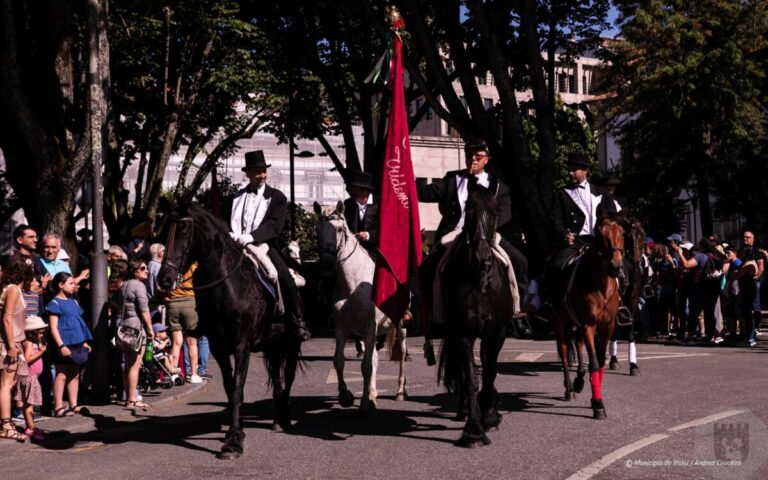 cavalhadas de vildemoinhos