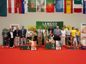 exposição canina lamego vencedores