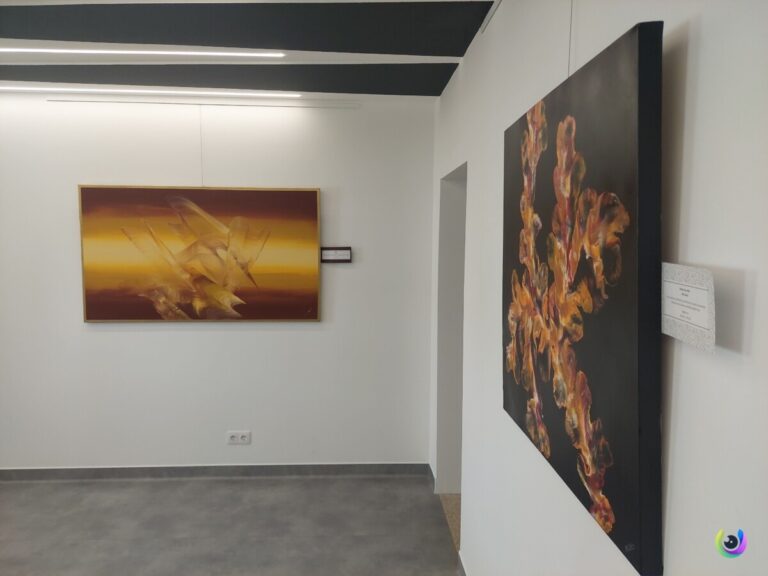 exposição niki white são pedro do sul