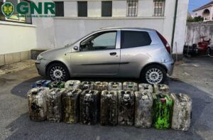 gnr apreensão moimenta da beira óleos