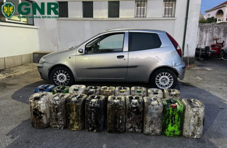 gnr apreensão moimenta da beira óleos